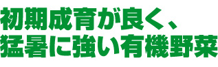 炪ǂAҏɋL@