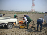 塩害水田の土壌改良実験